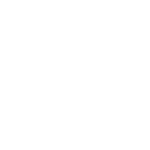 Qintell - White x